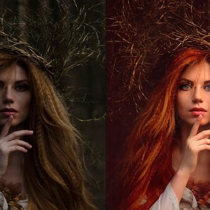 MODULE 3 Adobe Photoshop